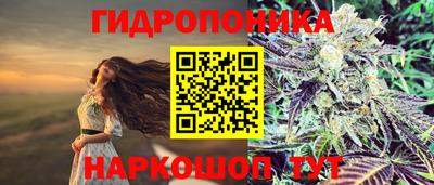 ALPHA-PVP Дмитров